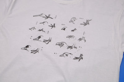 Bird, Duck, and Chicken drawings