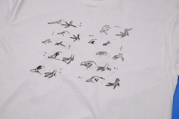 Bird, Duck, and Chicken drawings