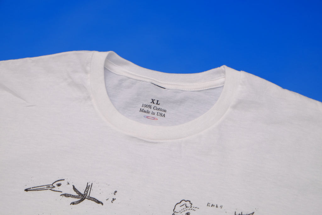 Bird, Duck, and Chicken drawings