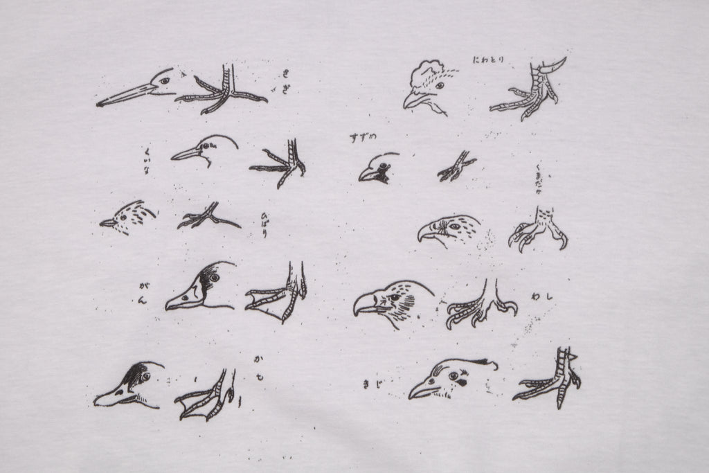 Bird, Duck, and Chicken drawings