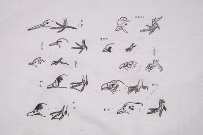 Bird, Duck, and Chicken drawings